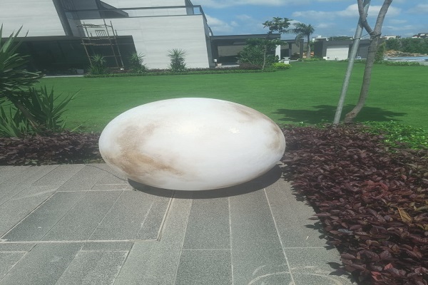 S and S Light Services