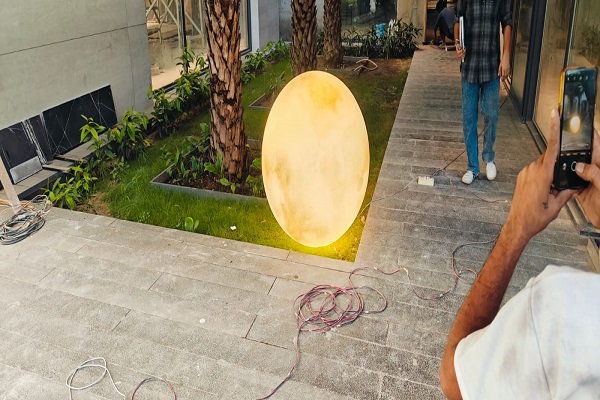 S and S Light Services